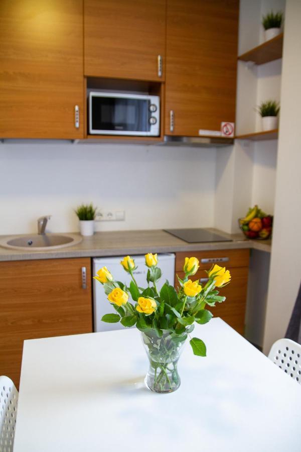 Sky Studio Near The Vilnius Center ภายนอก รูปภาพ
