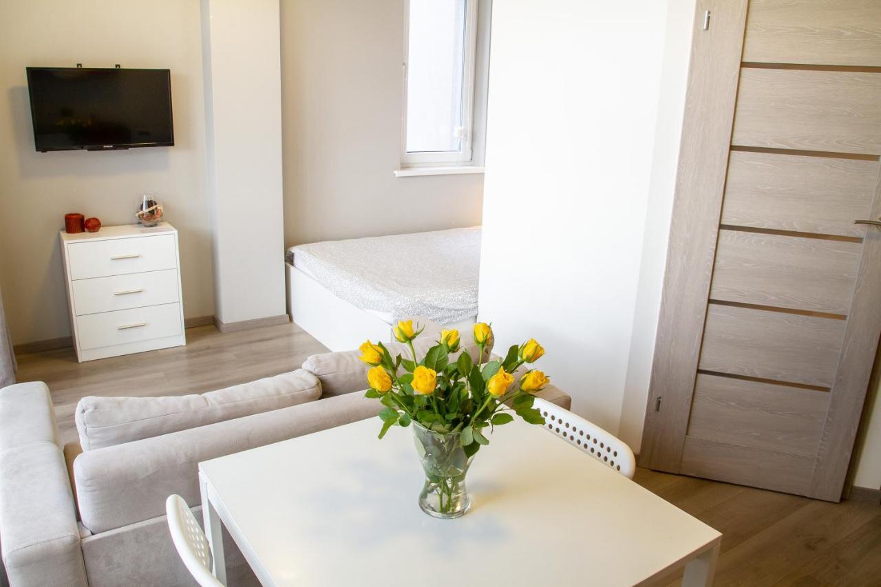 Sky Studio Near The Vilnius Center ภายนอก รูปภาพ