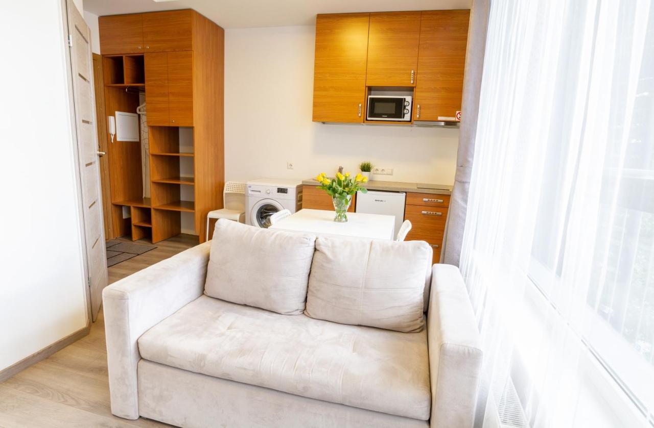 Sky Studio Near The Vilnius Center ภายนอก รูปภาพ